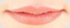 lip contours